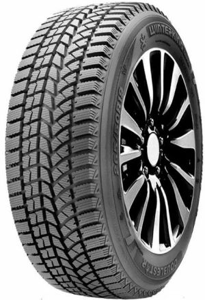 245/45R17 99T Doublestar WINTERKING DW02
