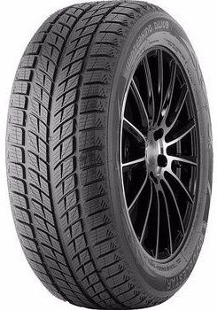 225/45R18 95T Doublestar WINTERKING DW09