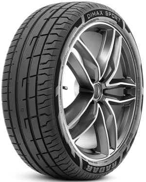 255/40R21 102Y Radar Dimax Sport
