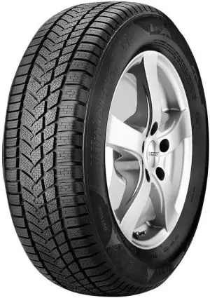 255/40R19 100V SUNNY NW211 XL