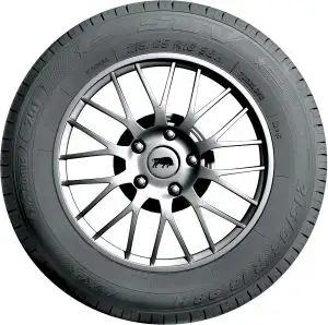 255/45R20 101W Taurus 701